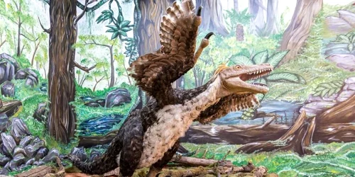 dinozauri tara hategului foto geoparcul tarii hategului
