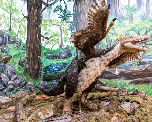 dinozauri tara hategului foto geoparcul tarii hategului