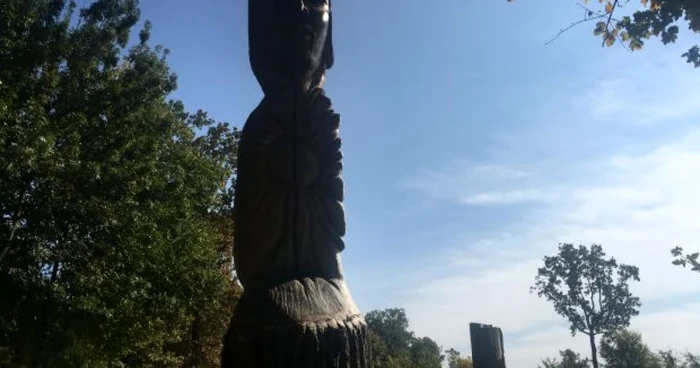 Artistul transformă copacii bătrâni în adevărate opere de artă