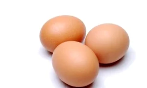 1 2 jpg jpeg