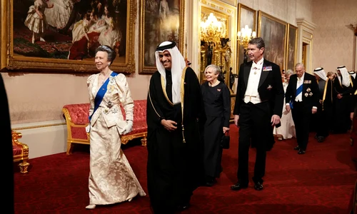 Prințesa Anne la dineul de stat, Profimedia jpg