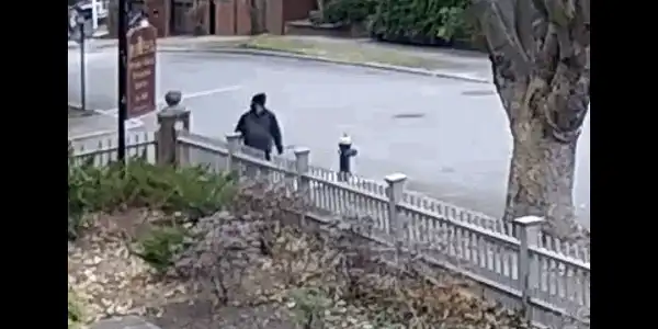 suspect gif gif