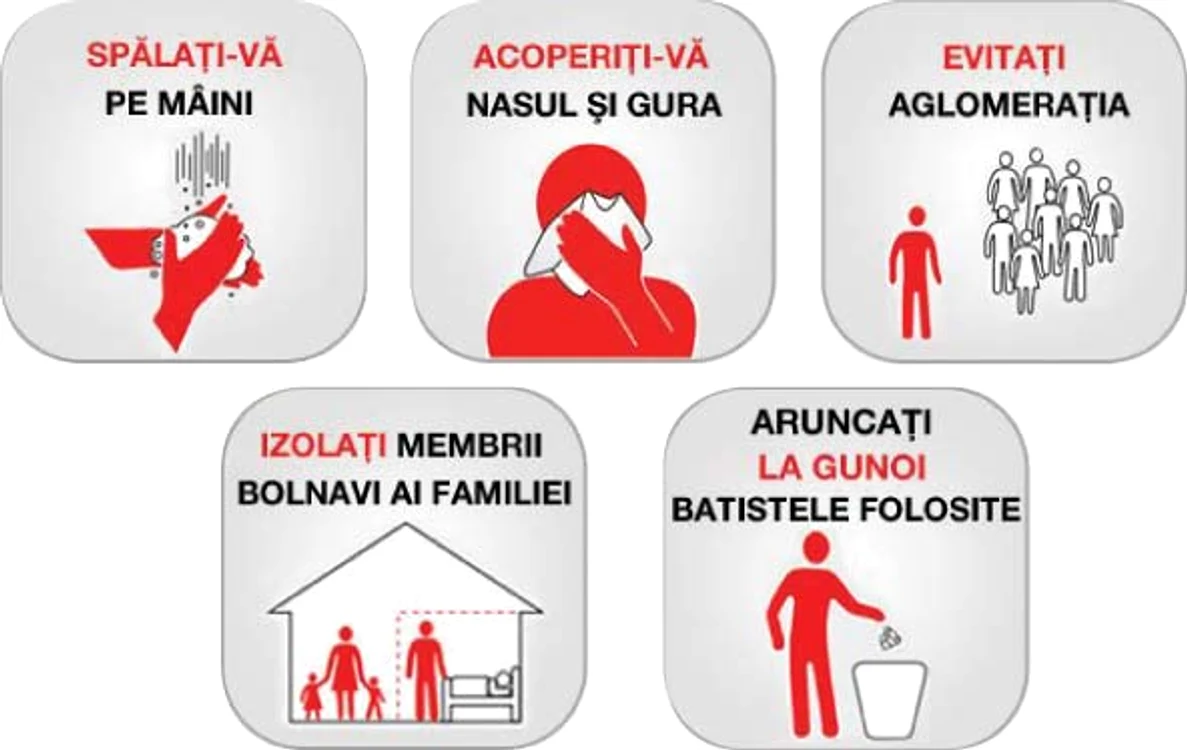 
    În iarna 2009-2010, mii de oameni au stat la cozi pentru a se vaccina împotriva gripei  