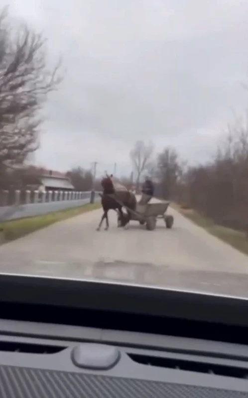 Imagini din clipul postat de sofer  Sursa Reddit (3) jpg