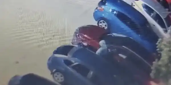 furt gif