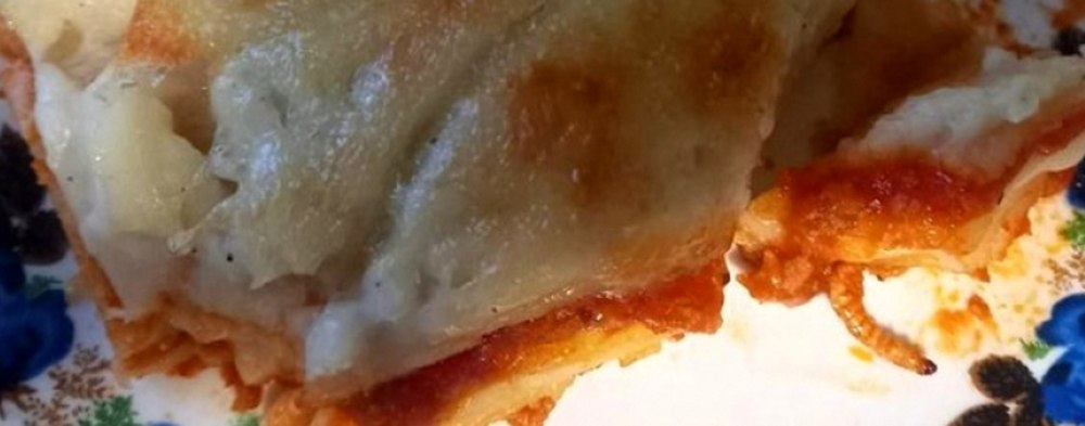 Viermi într-o lasagna cumpărată de la unul dintre cele mai populare magazine. „Copilul a vomat”