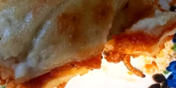 vierme in lasagna jpg