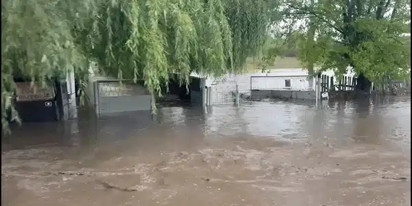 Inundatii gif