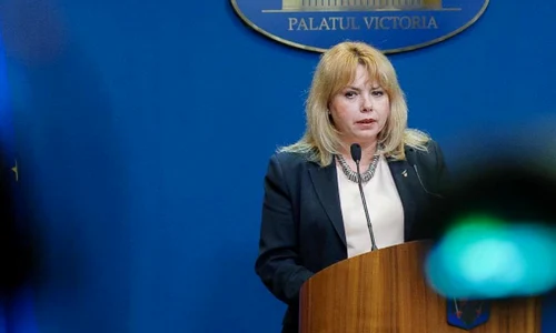 anca dragu png
