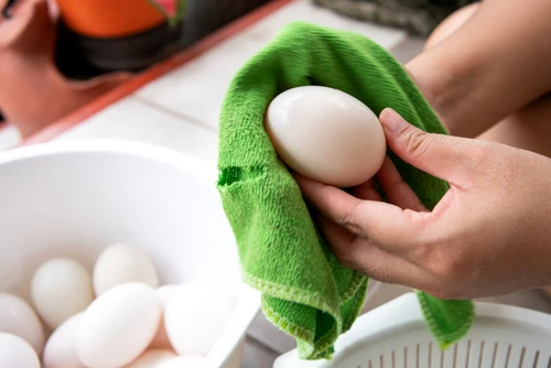 Spalat Oua fierte spalate foto shutterstock