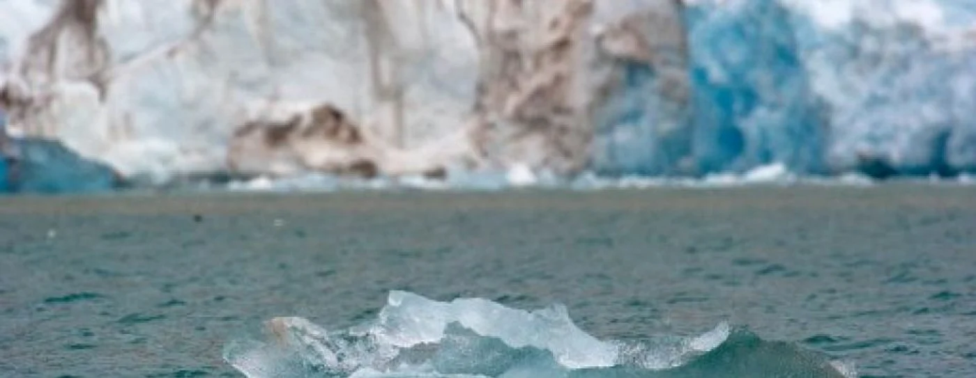 Cercetătorii au găsit plastic în zăpada din Arctica. FOTO: AFP