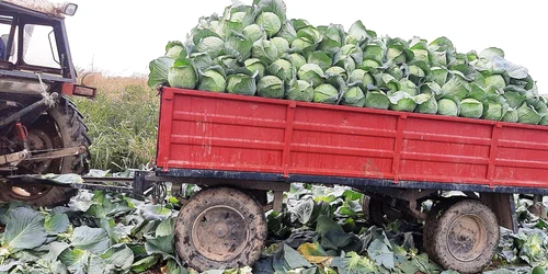 310875356 5284322815023812 8112813106552814557 n jpg