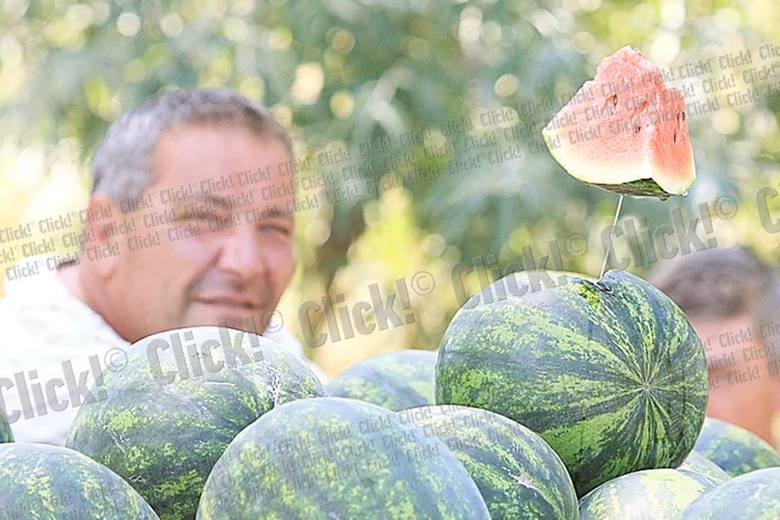 Roxana Nemeş (Foto: Sever Gheorghe)