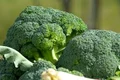 broccoli jpeg