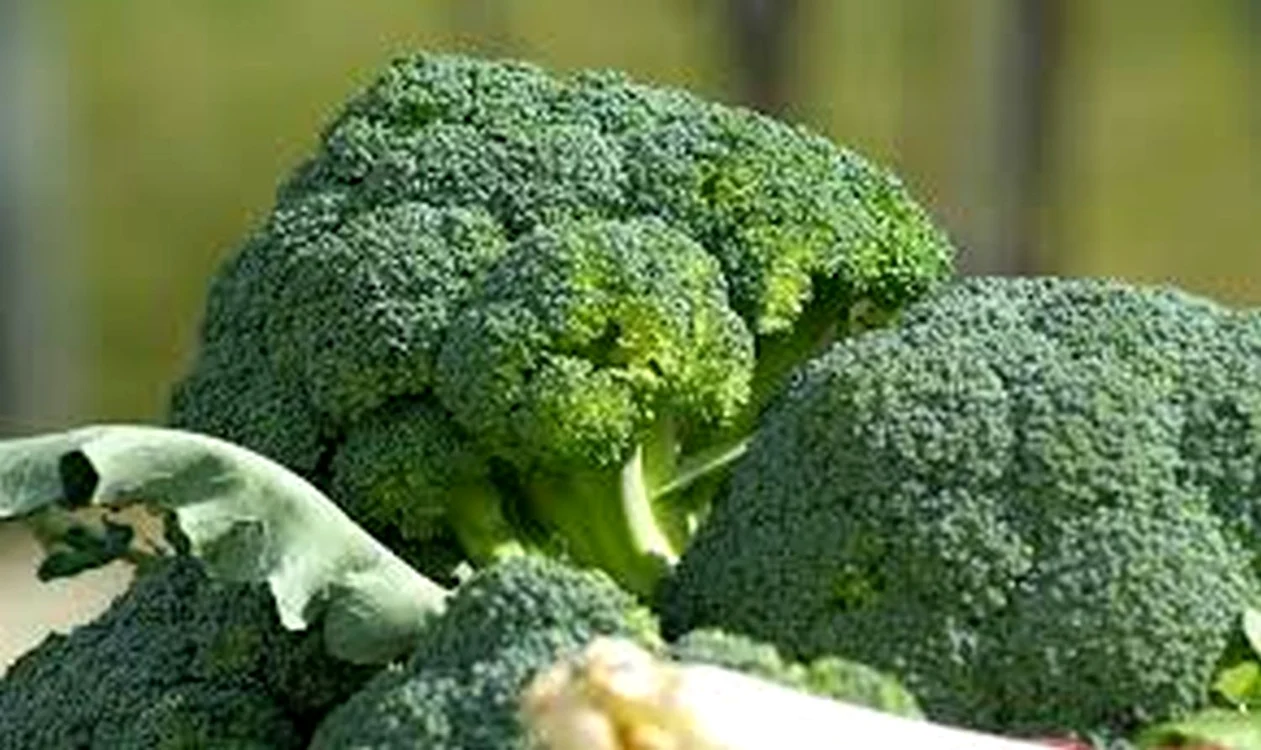 De ce e bine să mănânci broccoli, mai ales dacă vrei să slăbești.