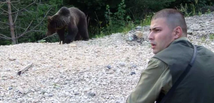 Ursul care căra cadavrul turistului nu se face vinovat de moartea bărbatului. FOTO arhivă Adevărul Ploieşti