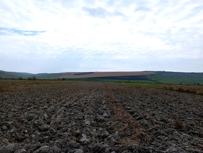 Peste 2/3 din suprafața agricolă a Dimăcheniului a fost vândută FOTO Cosmin Zamfirache