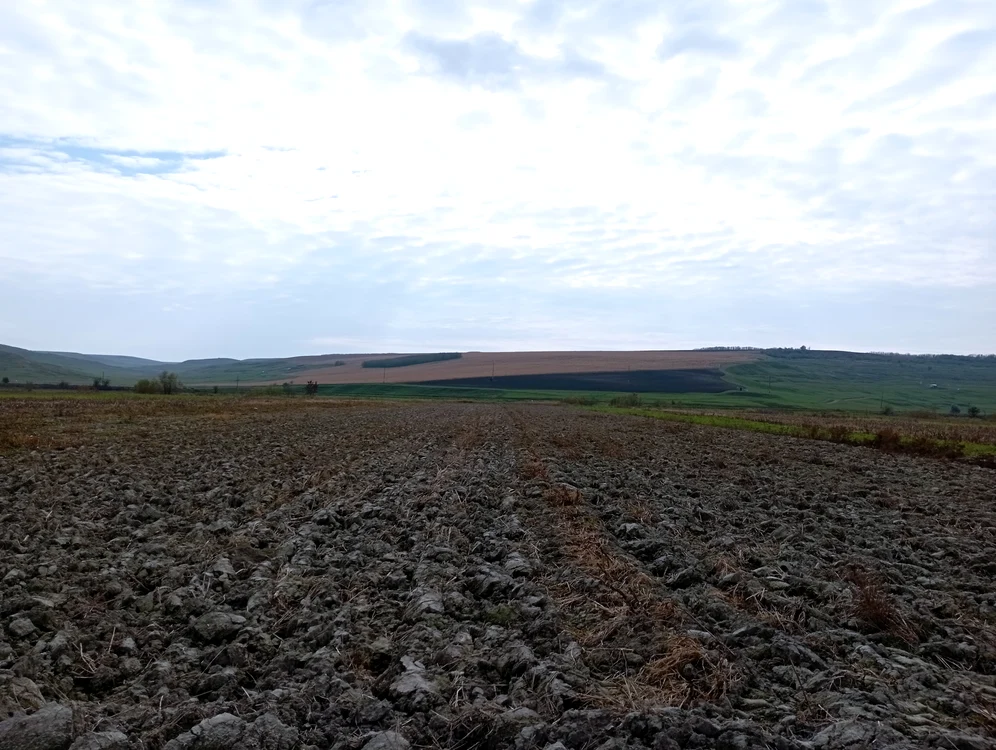 Peste 2/3 din suprafața agricolă a Dimăcheniului a fost vândută FOTO Cosmin Zamfirache