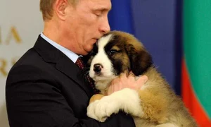 Vladimir Putin foto: epa jpeg