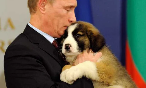 Vladimir Putin foto: epa jpeg