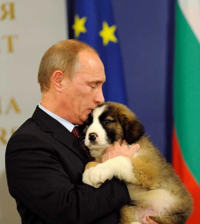 Vladimir Putin foto: epa