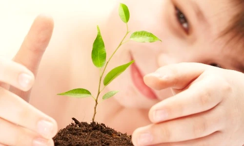 1 72680 original jpg jpeg