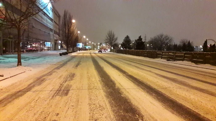 Prima ninsoare din 2019. Timişoara a îmbrăcat din nou haine albe FOTO Ş.Both