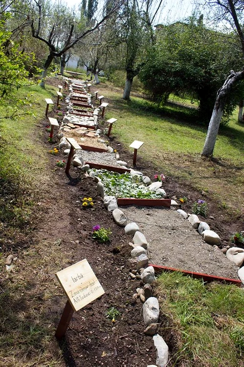 Aleea senzorială e acoperită cu nisip, pietre de râu, iarbă şi frunze