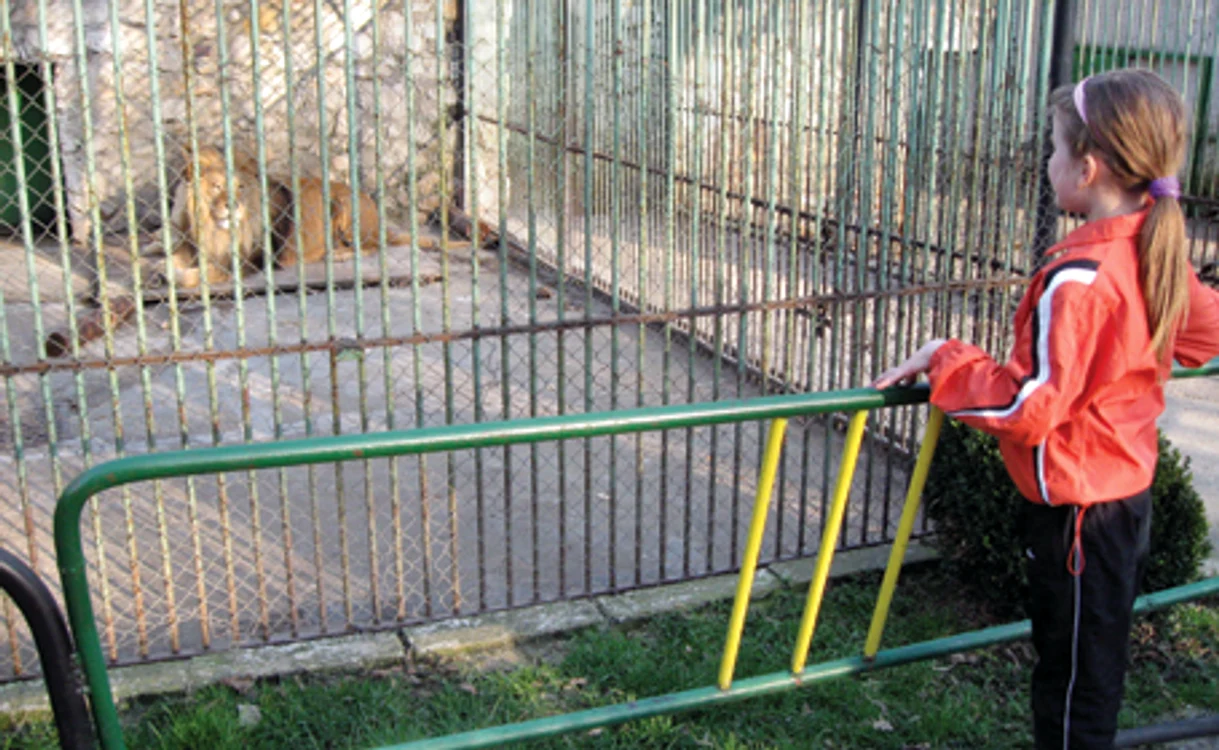 Regele animalelor este principala atracţie a vizitatorilor