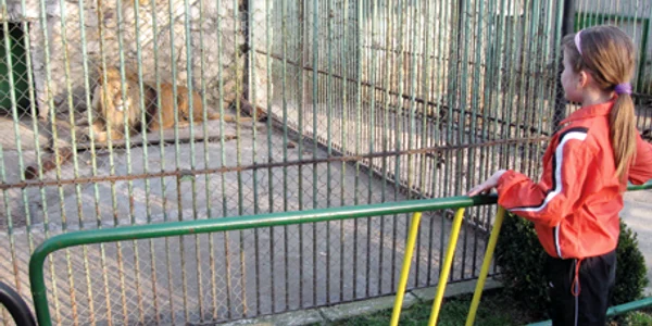 Regele animalelor este principala atracţie a vizitatorilor