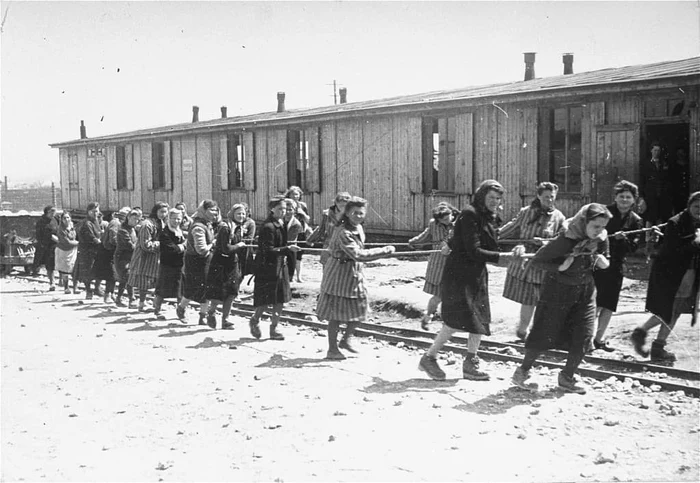 Femeile erau puse la munci grele și experimente medicale. FOTO: yadvashem