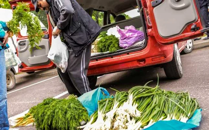 Piaţa volantă la Timişoara