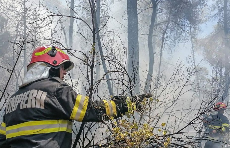 Trei fermieri români care au provocat incendii de vegetație vor rămâne fără banii de la APIA: „Nu vă mai curățați terenul cu chibritul”