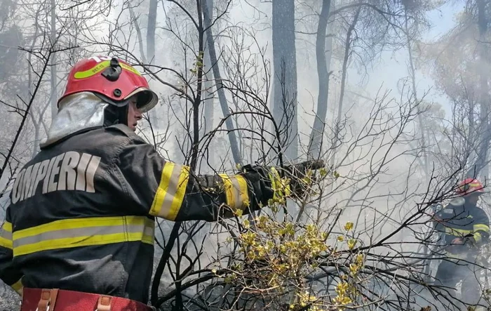 Incendii puternice de vegetație FOTO: IGSU