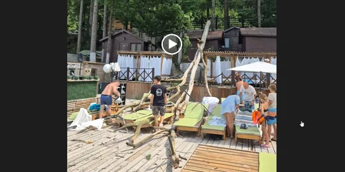copac cazut strand timis captura video jpg