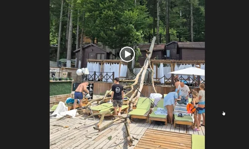copac cazut strand timis captura video jpg