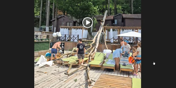 copac cazut strand timis captura video jpg