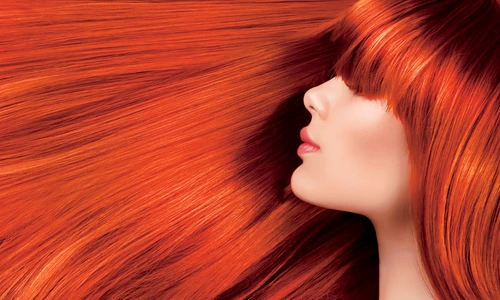 CLIIMA20120919 0012 1 jpeg