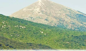 CLIIMA20121213 0143 1 jpeg