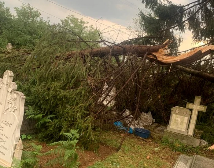 cimitir stanesti