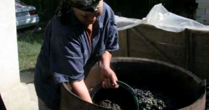 Oamenii au declarat că anul acesta producţia de vin este una bună
