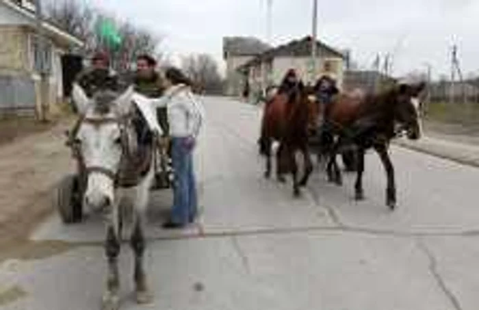 Localnicii spun deschis ca l-au votat pe sateanul lor