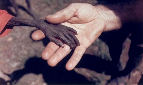 historia ro undefined jpeg