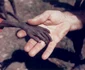 historia ro undefined jpeg
