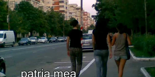 imn alexandria
