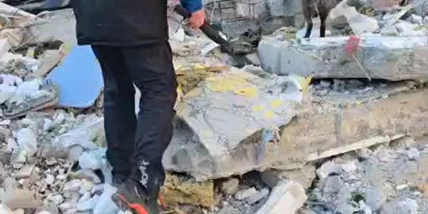 cealapa buletinul de bucuresti mp4 thumbnail png