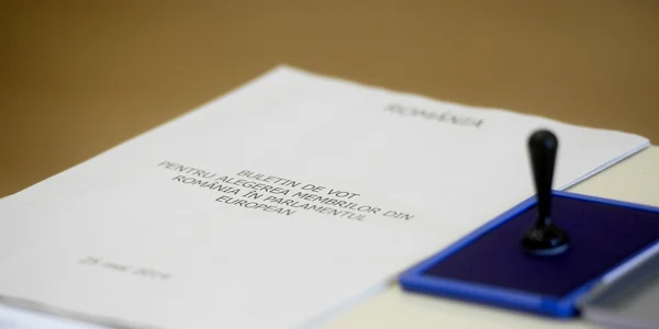 Stampila si buletin de vot pentru alegerile europarlamentare FOTO Mediafax 