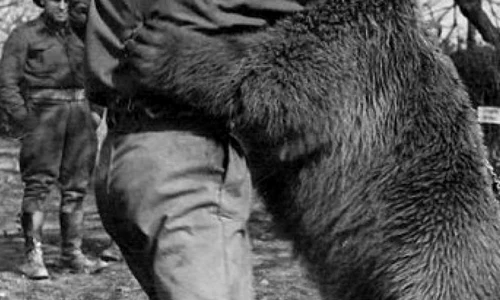 Cel mai neobișnuit soldat din al Doilea Război Mondial jpeg