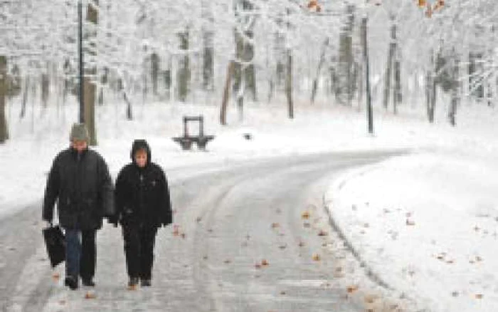 Craiova. Cei mari s-au bucurat de o plimbare prin zăpadă