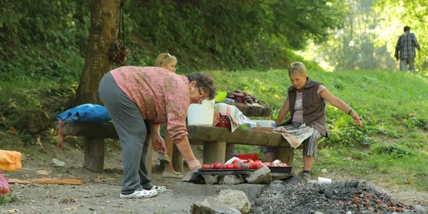 Cele două femei vin an de an să îşi facă zacusca pe grătar, în mijlocul naturii
